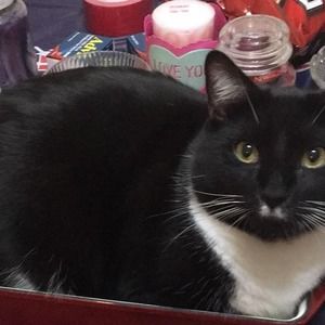 Meet your Posher, Tracy